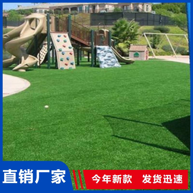人造草坪_體育器材經驗豐富品質可靠