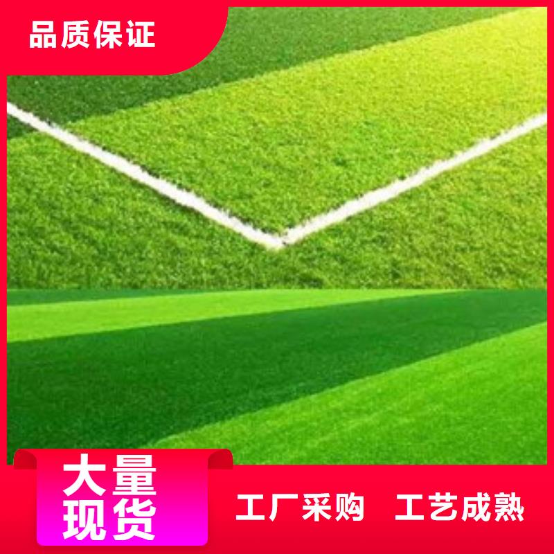 人造草坪塑胶跑道一站式采购商