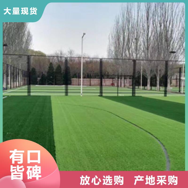 人造草坪体育器材购买的是放心