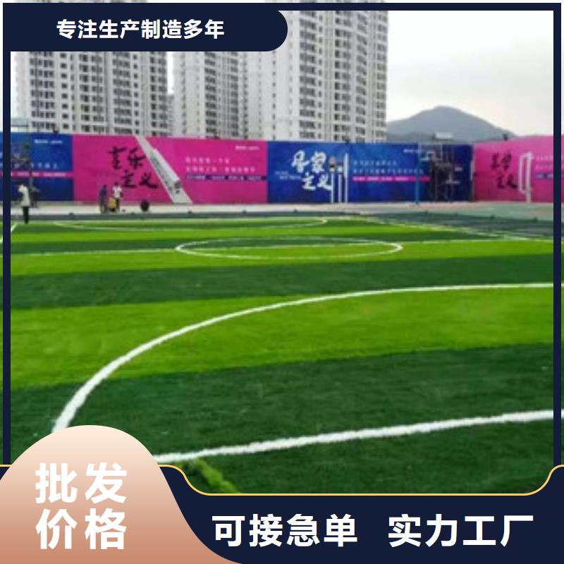 人造草坪多種優勢放心選擇