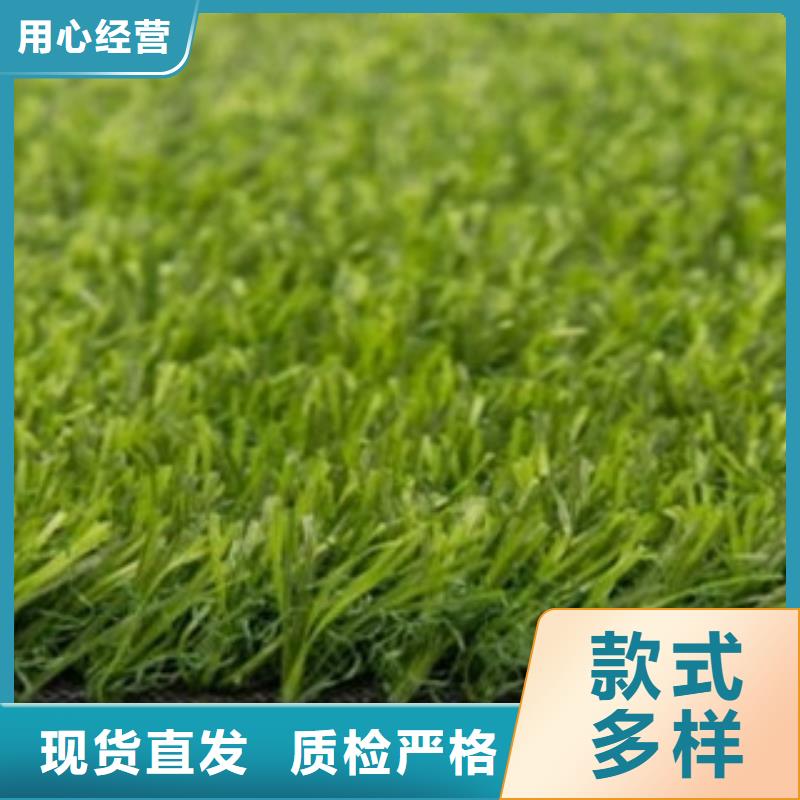 北京周边昌冠人造草坪 【塑胶地板】让利客户