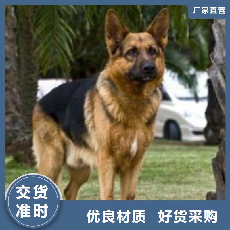 【德国牧羊犬,黑狼多种规格可选】