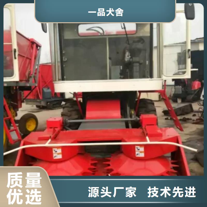 青储机,【拉布拉多犬】品质优选-一品犬舍(益阳市分公司)|覆盖地域桃江|赫山|郴州|湘潭|长沙|衡阳|张家界|岳阳