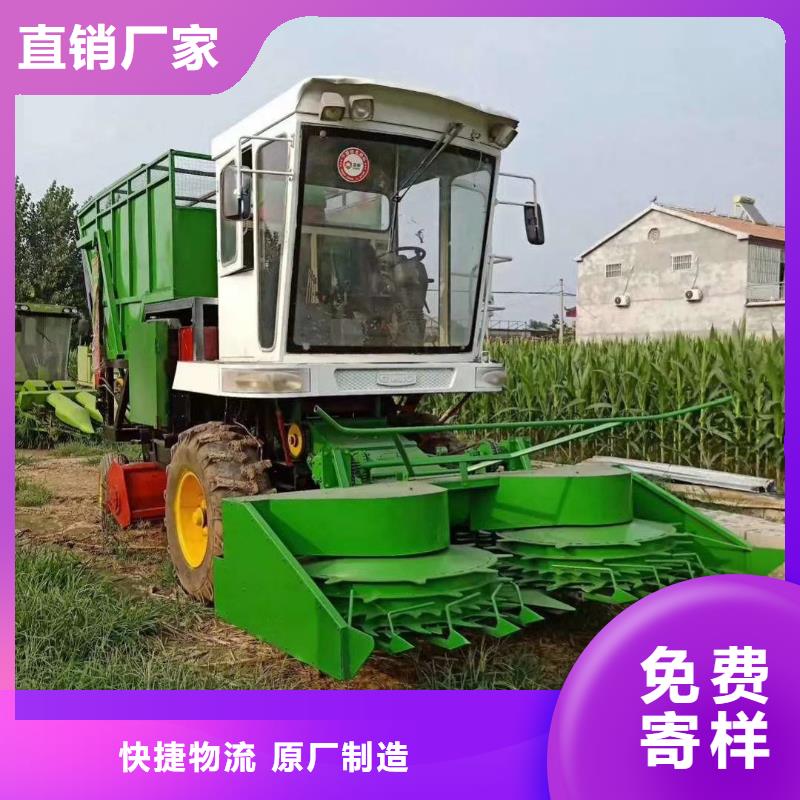 青储机德牧犬用的放心