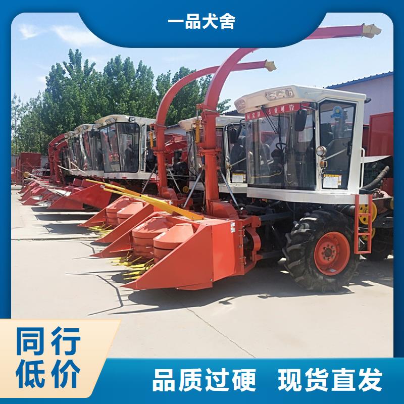青储机,【拉布拉多犬】品质优选-一品犬舍(益阳市分公司)|覆盖地域桃江|赫山|郴州|湘潭|长沙|衡阳|张家界|岳阳