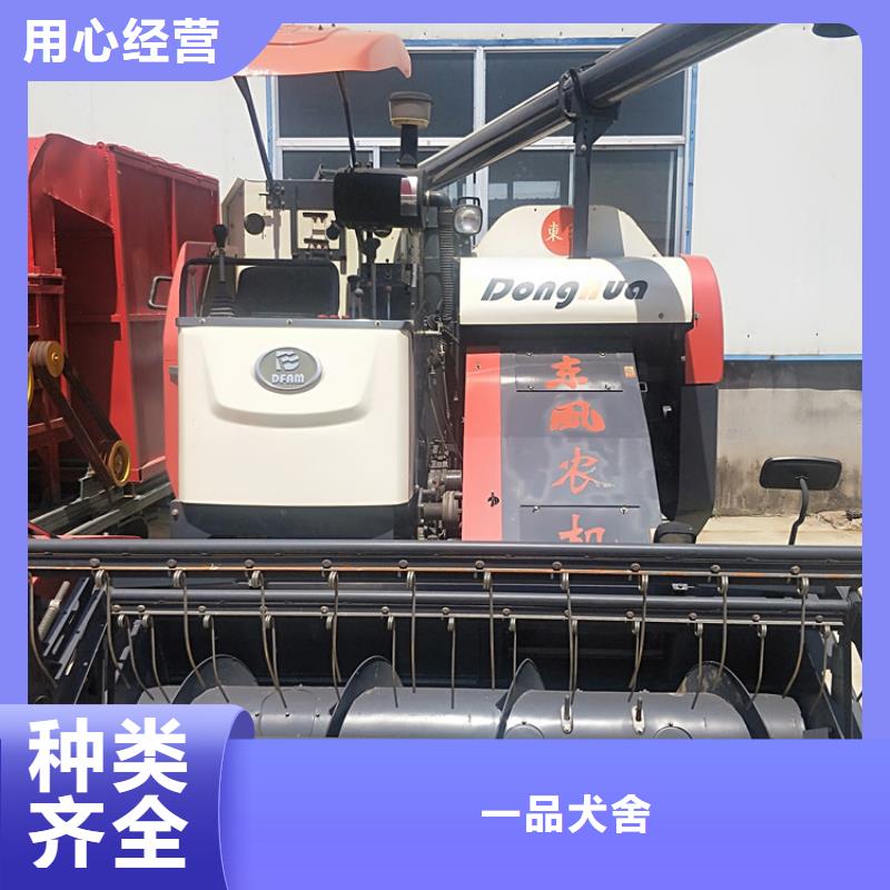 青储机马犬品质之选