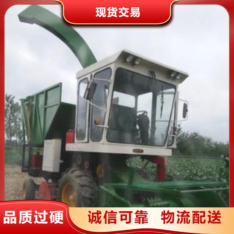 青儲機-德牧犬供應采購