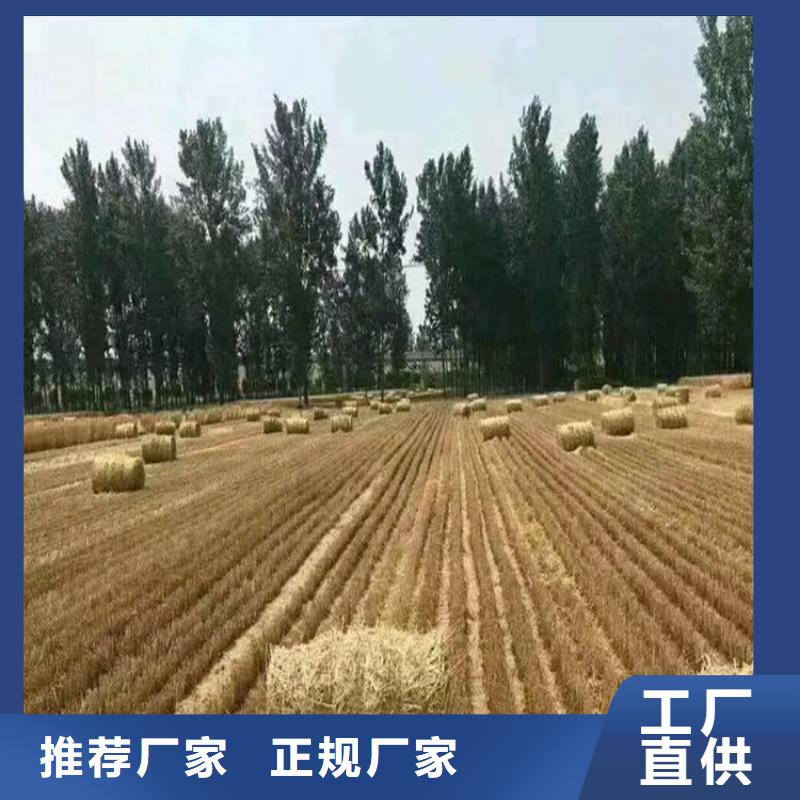 打捆机-卡斯罗犬专注产品质量与服务