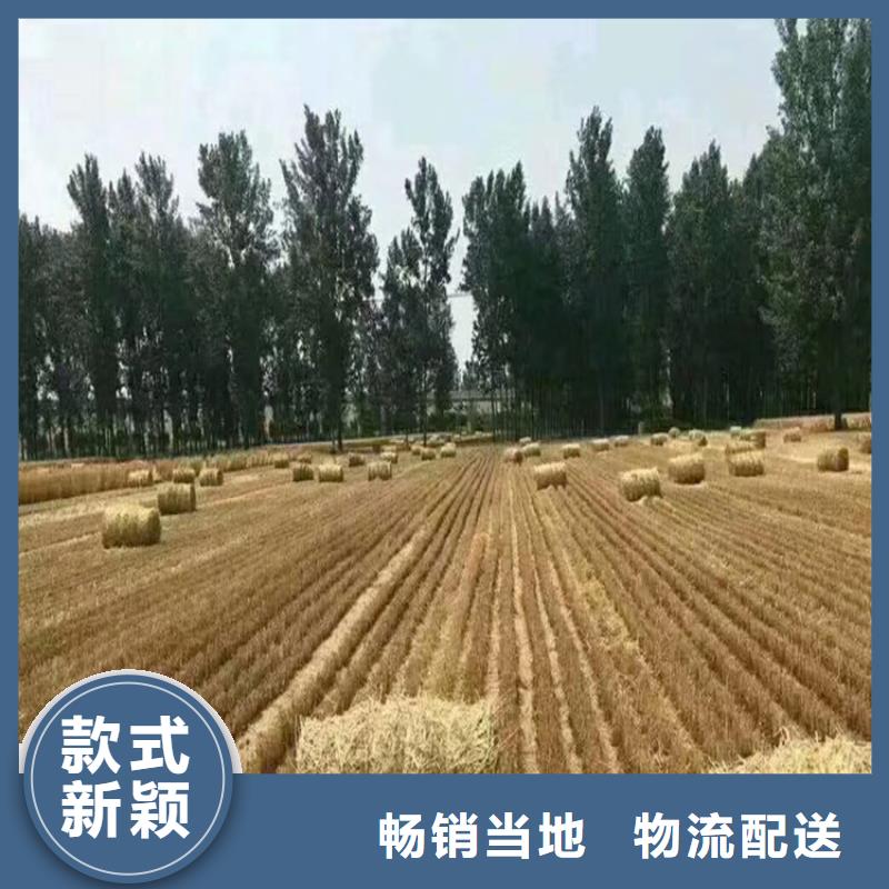 一品【打捆机】 卡斯罗犬专业生产设备-业务覆盖区域|嵊州|新昌|丽水|台州|衢州|舟山|湖州-企业旺旺