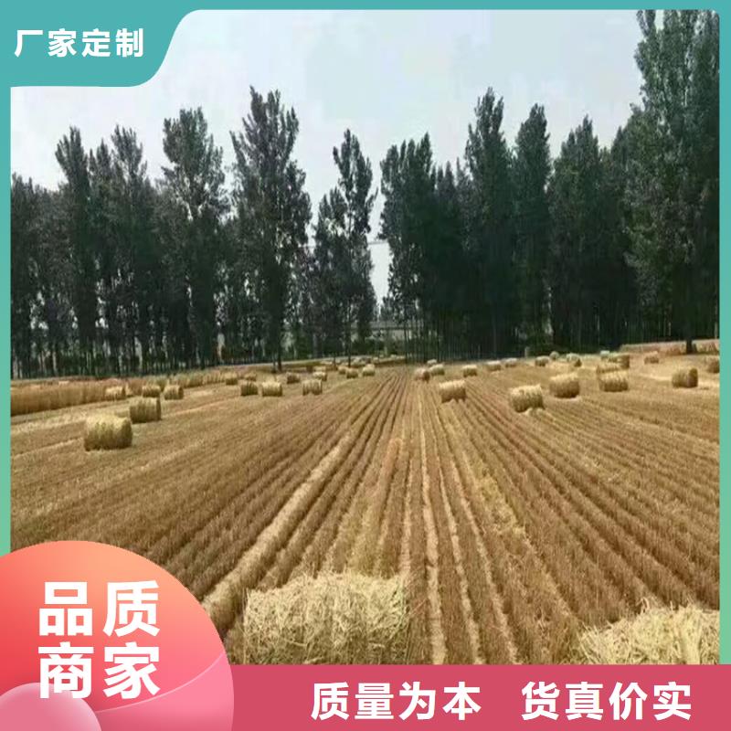打捆機(jī)【卡斯羅犬】源頭直供