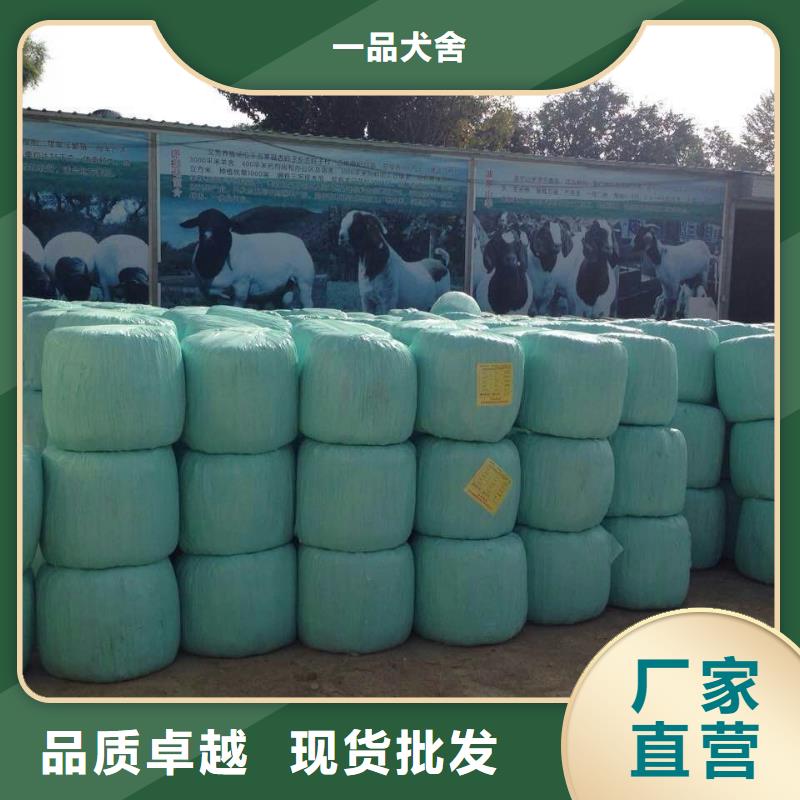 【 打捆包膜机-卡斯罗犬货源稳定】-一品犬舍(湖州市分公司)