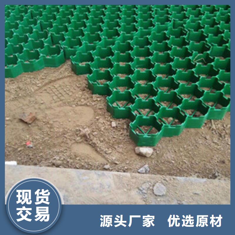 环保植草格土工布厂家品类齐全