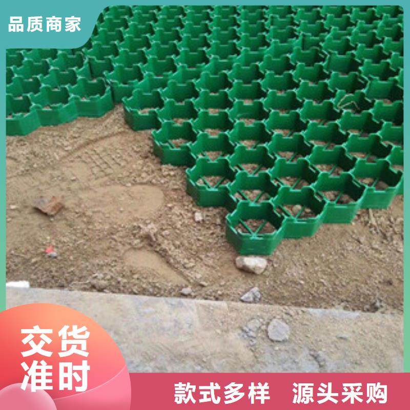 【环保植草格】土工膜厂家供应采购