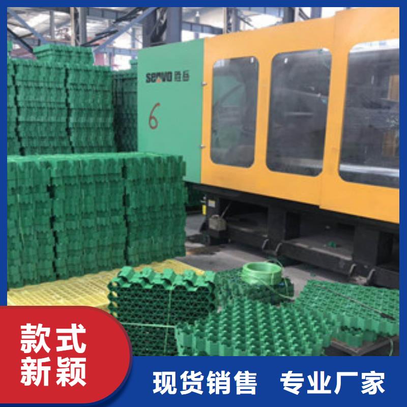 【环保植草格】土工膜厂家供应采购