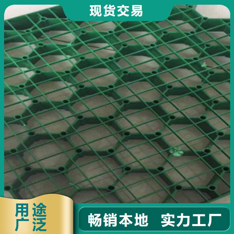 【 环保植草格,膨润土防水毯厂家款式新颖】|绥芬河|阳明|黑河|大兴安岭|佳木斯|绥化|齐齐哈尔服务商