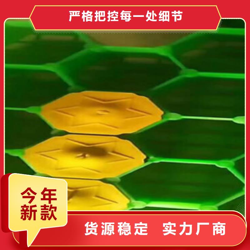 环保植草格植草格厂家精品优选