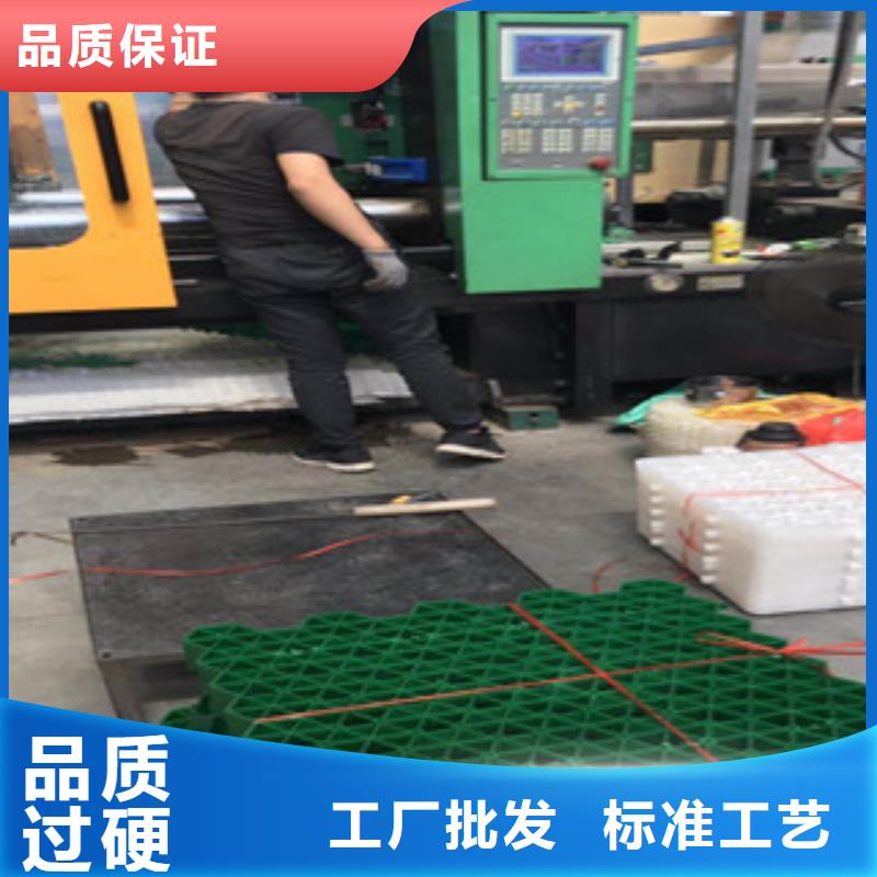 环保植草格土工布厂家品类齐全