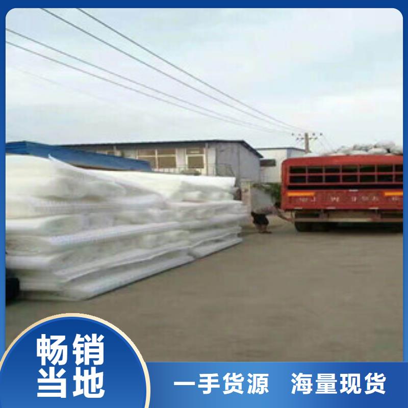 塑料排水板_【植草格廠家】交貨準(zhǔn)時