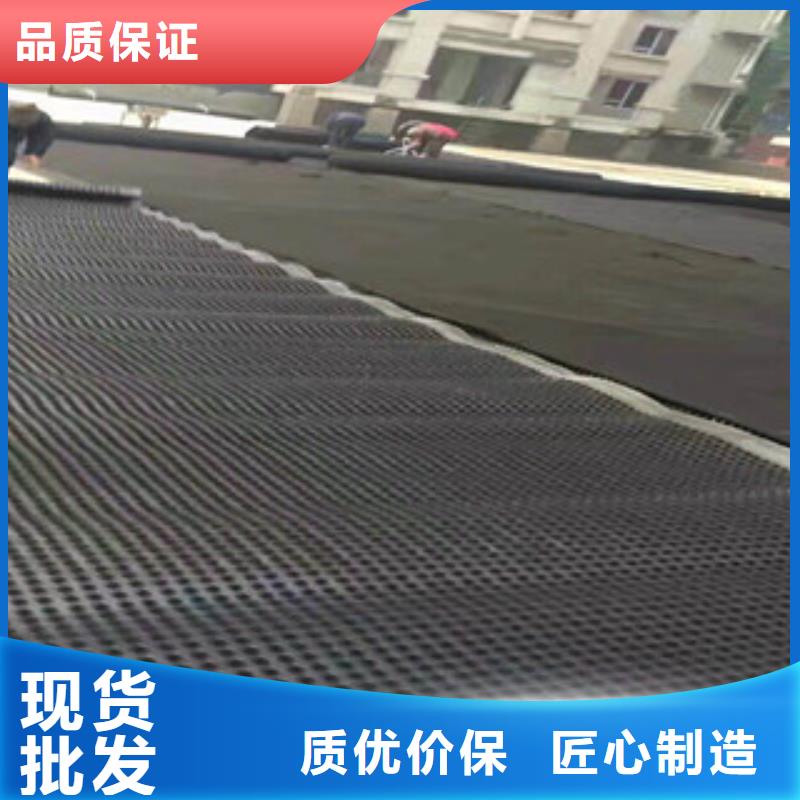 塑料排水板蓄排水板厂家品质保证实力见证