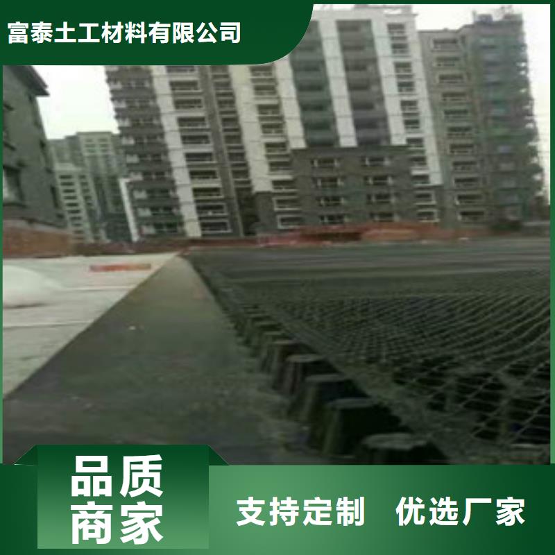 【塑料排水板蓄排水板厂家支持定制批发】