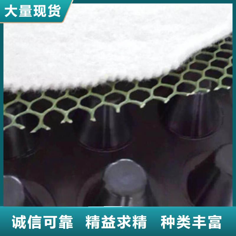 塑料排水板蓄排水板厂家价格实惠