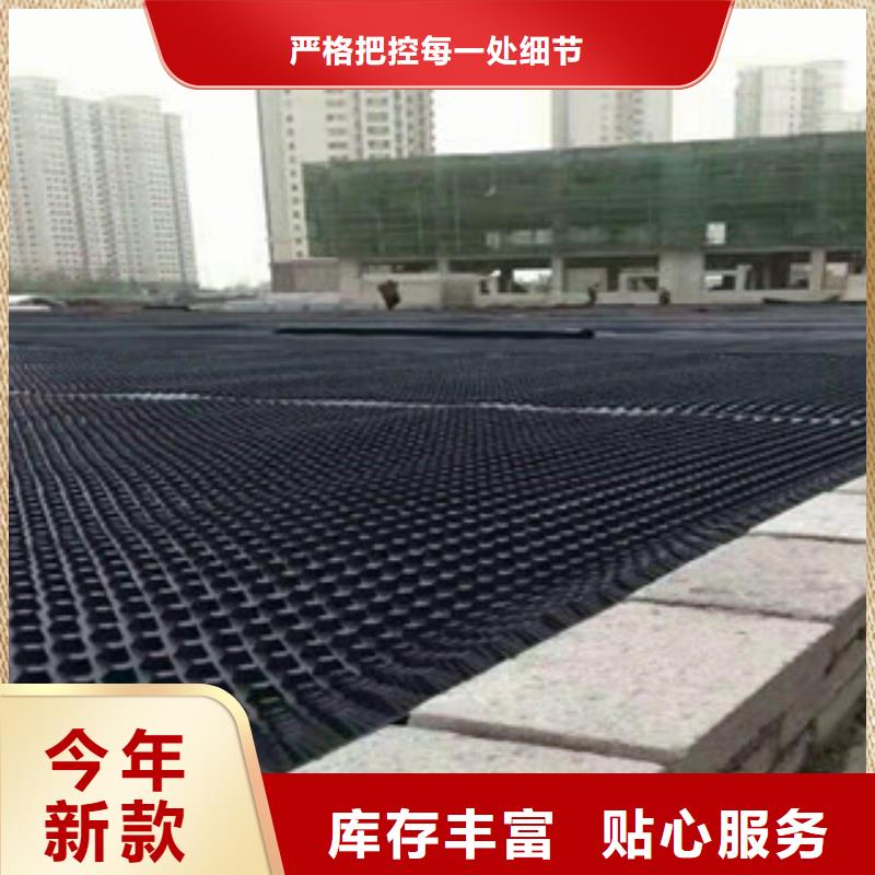 塑料排水板-植草格厂家工厂采购