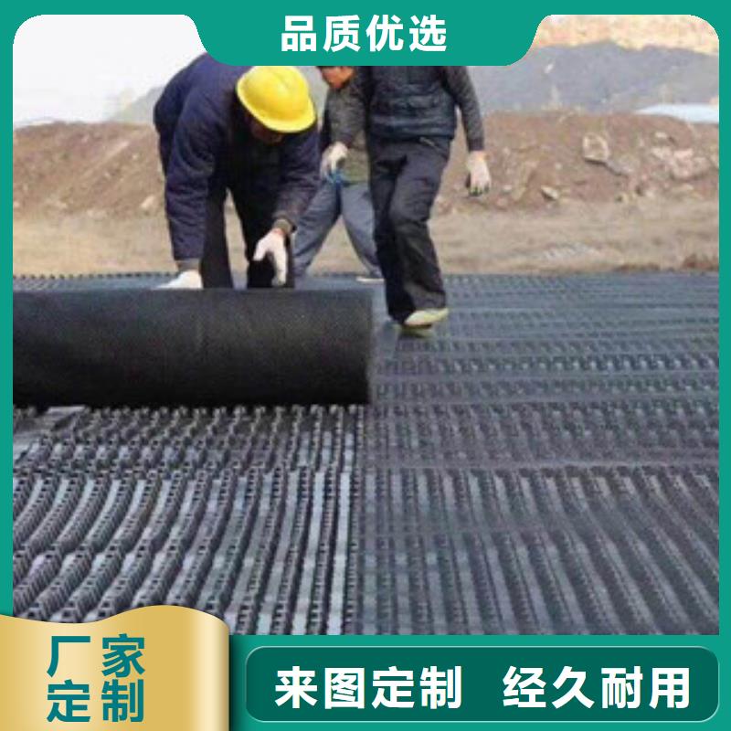 塑料排水板【生态袋厂家】质量安心