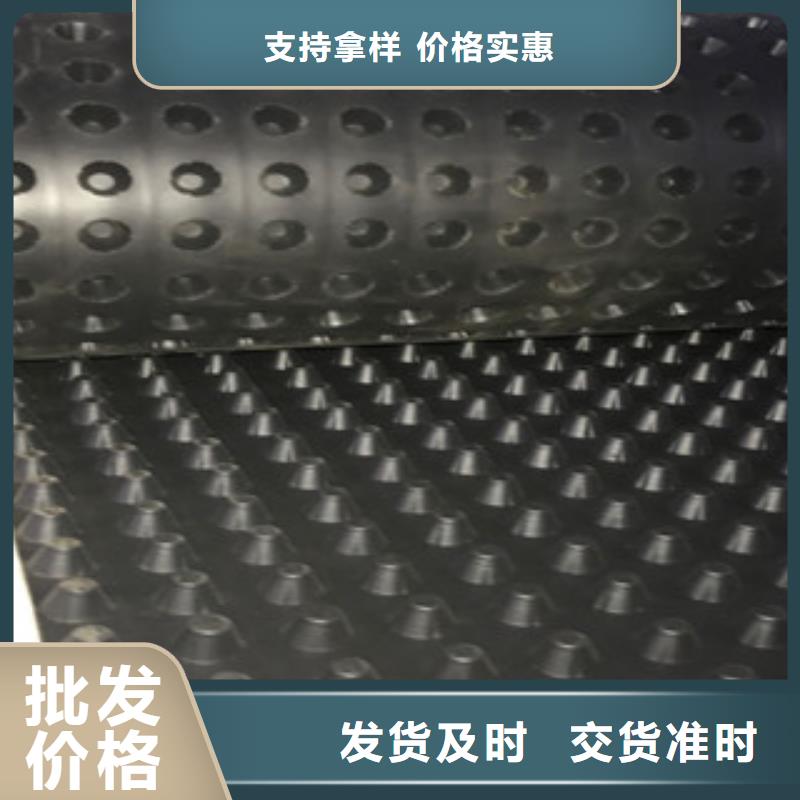 塑料排水板蓄排水板厂家价格实惠