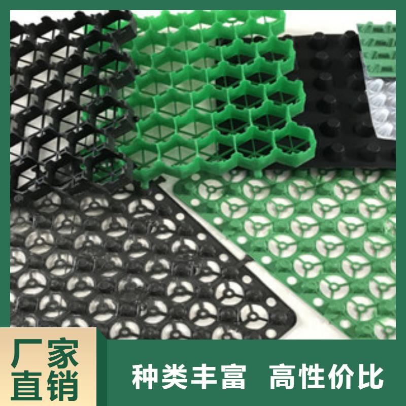 塑料排水板_【植草格廠家】交貨準(zhǔn)時