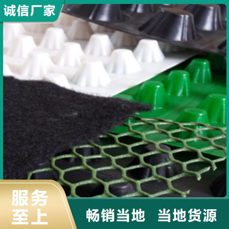 塑料排水板蓄排水板厂家多种规格供您选择