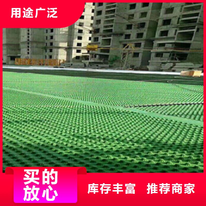 排水板-植草格廠家真材實料誠信經營