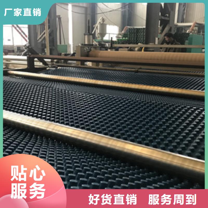 【排水板】蓄排水板厂家厂家工艺先进