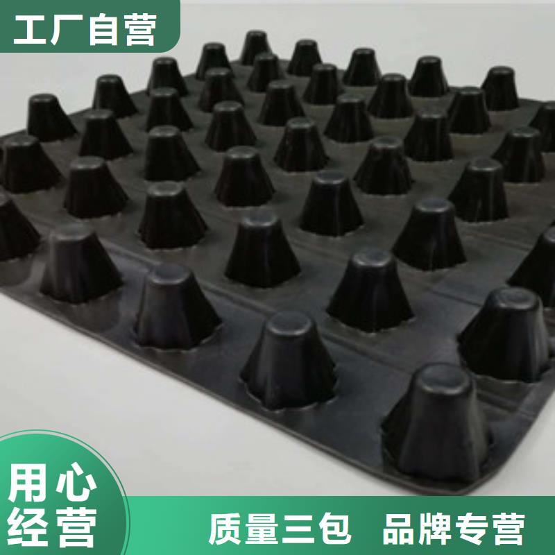 排水板蓄排水板厂家客户满意度高