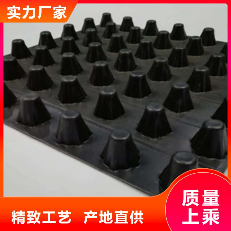 品牌【 排水板_生态袋厂家研发生产销售】