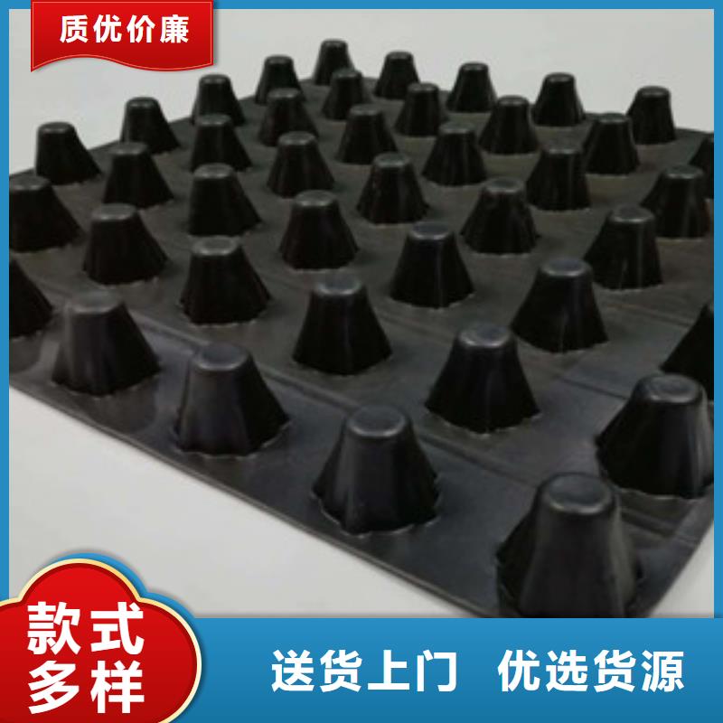 排水板-土工膜厂家发货及时