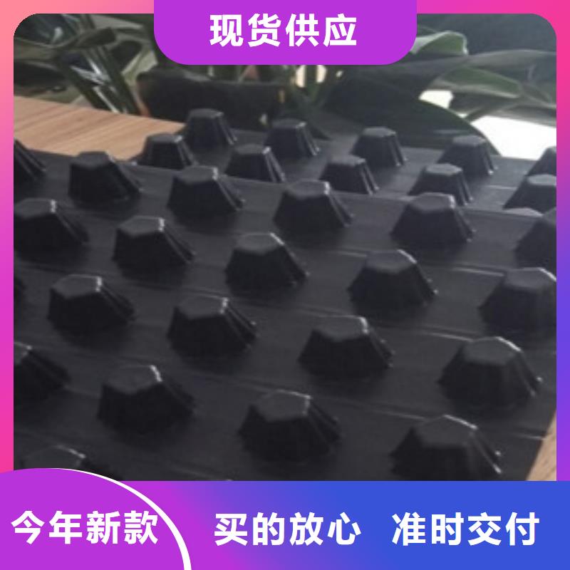 排水板-土工布厂家生产安装