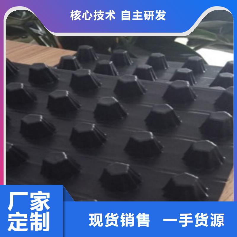 虹吸排水板規格型號