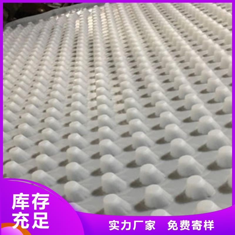 虹吸排水板哪家好？