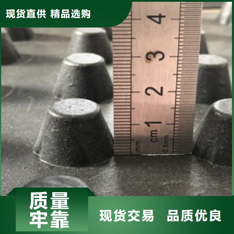排水板蓄排水板廠家選擇我們選擇放心