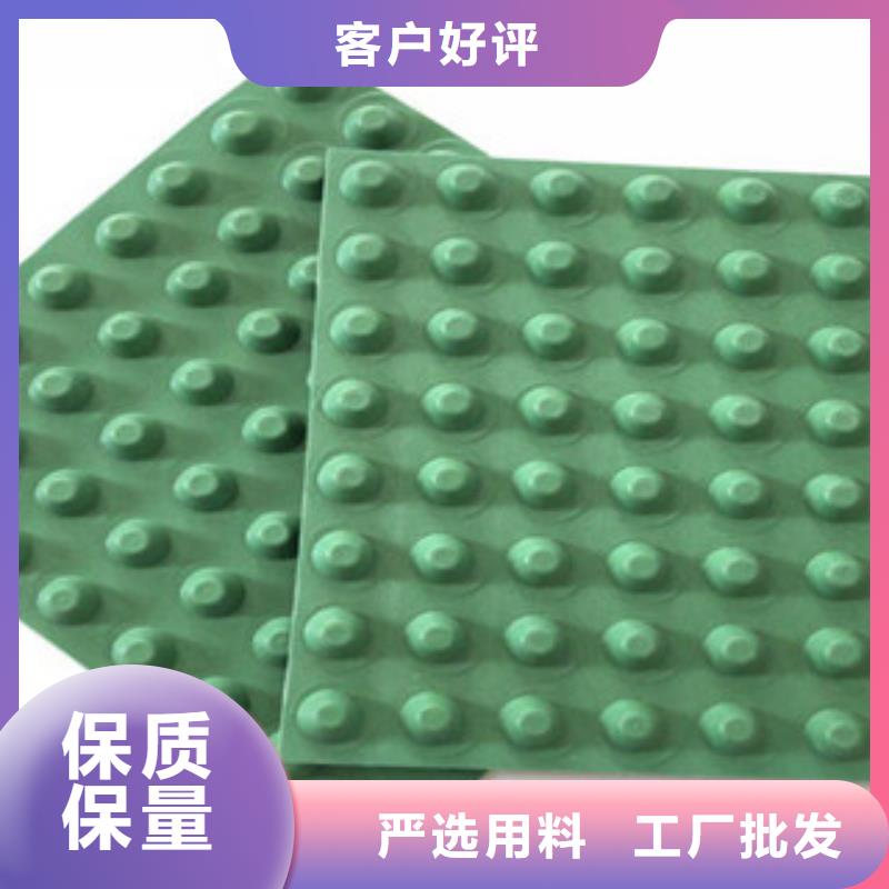 排水板,植草格厂家工厂现货供应