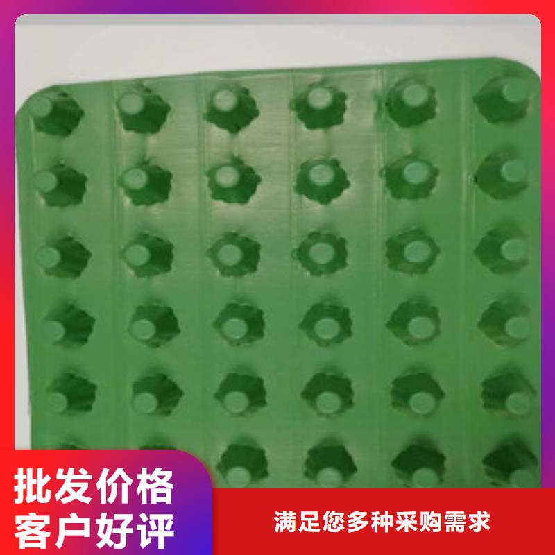 【排水板排水板厂家让利客户】