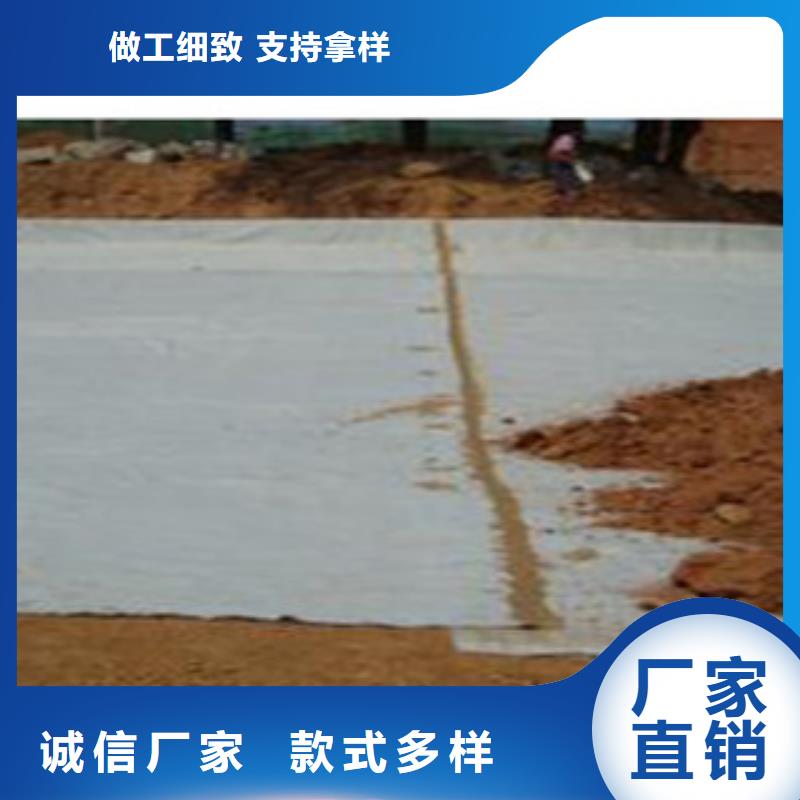 防水毯,植草格廠家自有生產工廠