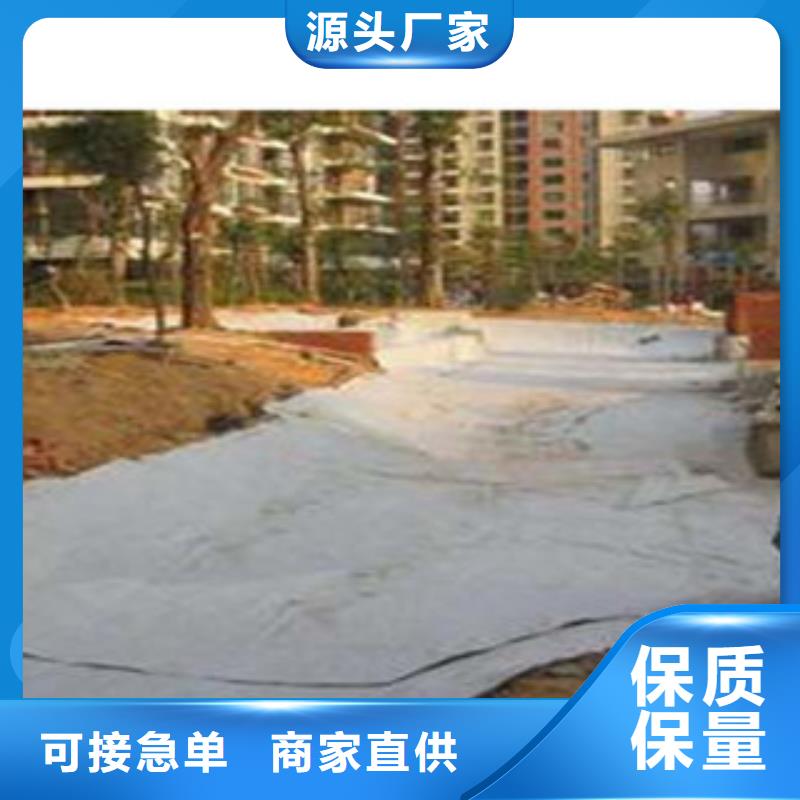 防水毯【蓄排水板厂家】好货直销_富泰土工材料(合作市分公司)