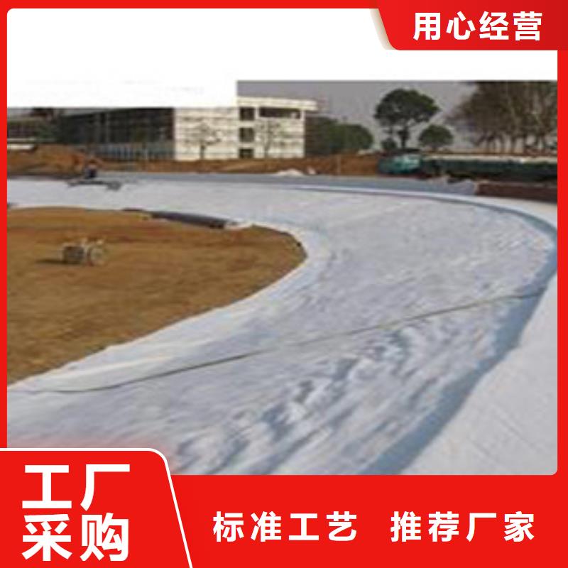 【防水毯排水板厂家可接急单】