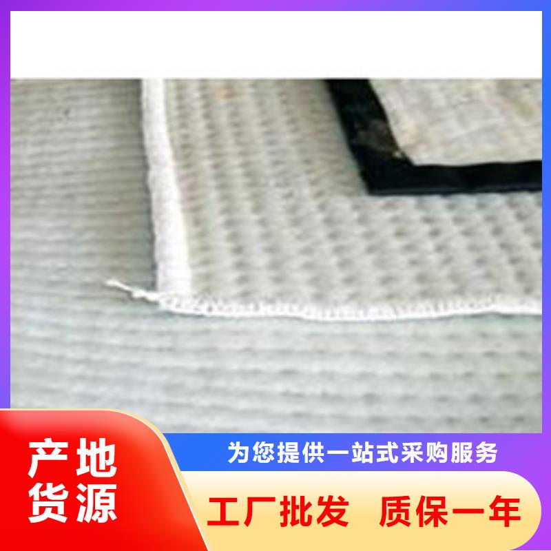 [上海]同城富泰防水毯虹吸排水板厂家优选货源