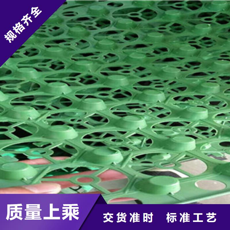 白色块状蓄排水板富泰土工材料有限公司厂家直销