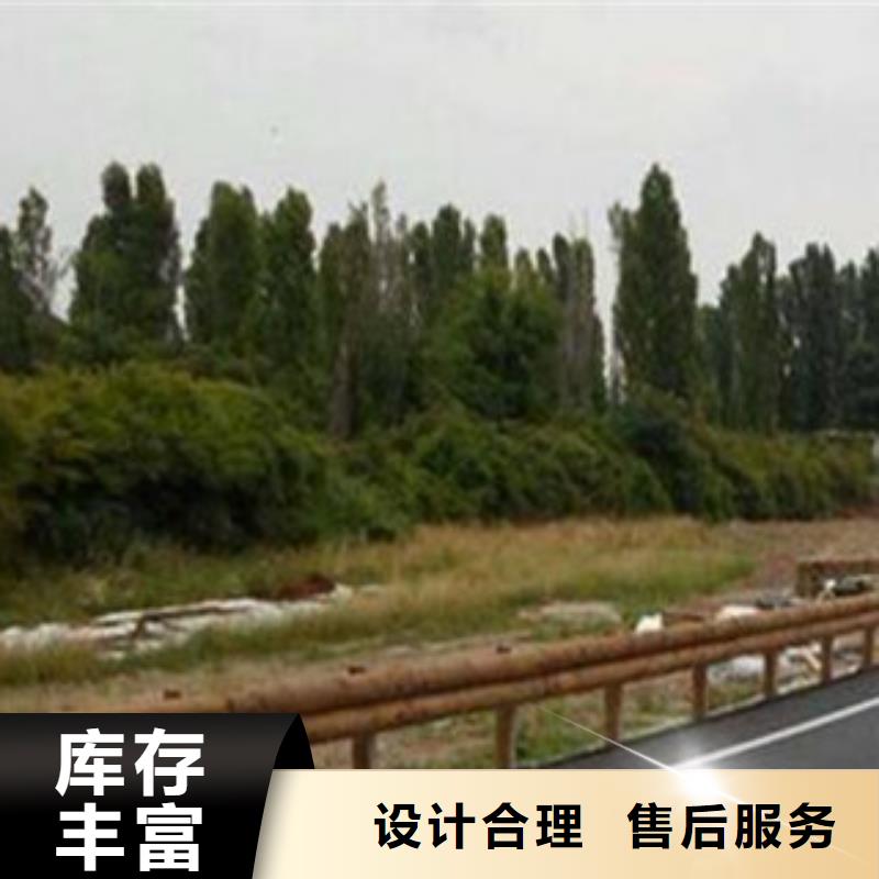 钢背木护栏-桥梁护栏厂家直销大量现货