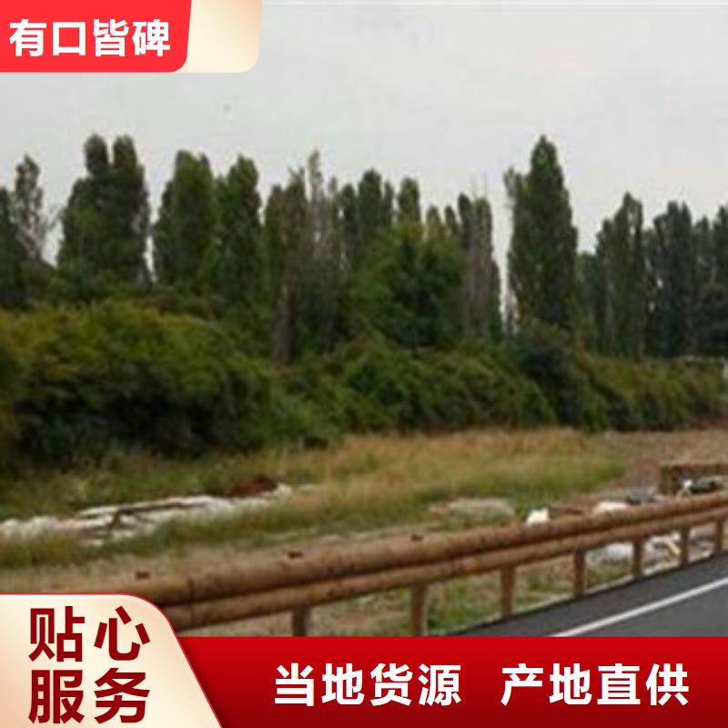 【飞龙】【值得信赖 钢背木护栏桥梁灯光护栏质检合格发货】-飞龙金属材料有限公司