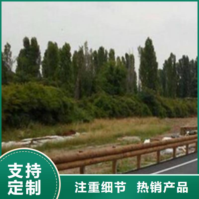 钢背木护栏桥梁景观护栏规格齐全实力厂家