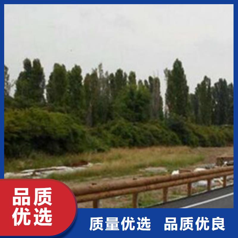 【 钢背木护栏LED灯光护栏现货销售】-服务区域包括秀洲|嘉善|绍兴|宁波|丽水|温州|衢州|湖州|金华等-产品视频
